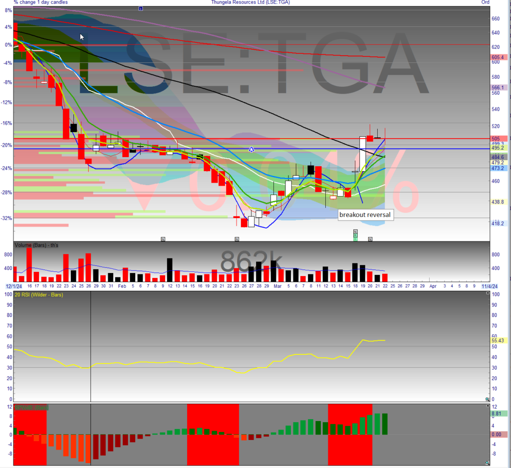 This image has an empty alt attribute; its file name is tga-18-3-rev-1024x938.png